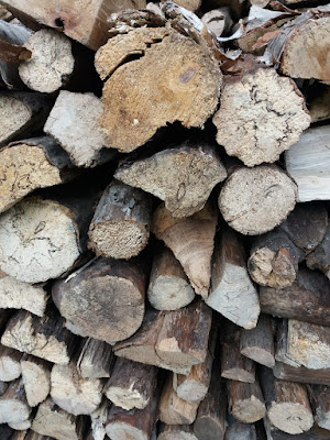 Bois Forest à Feucherolles