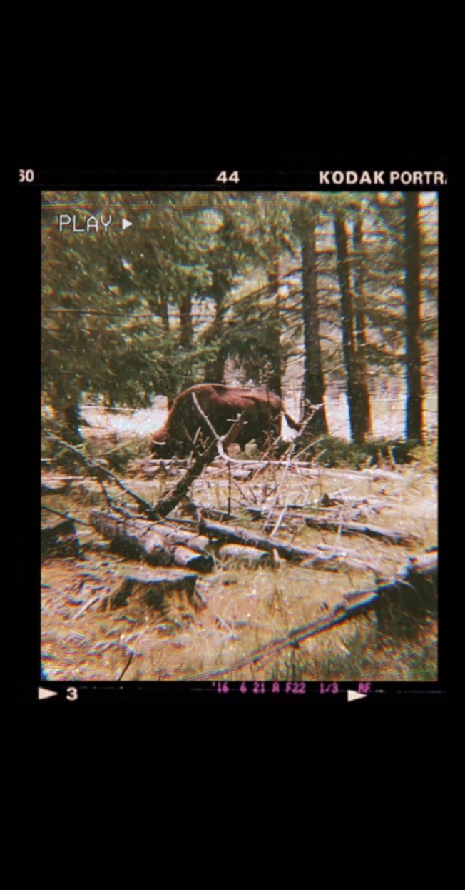 Photo n° 2 de l'avis de Hugo. fait le 25/08/2020 à 07:35