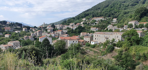 U fragnu di perruccio à Levie