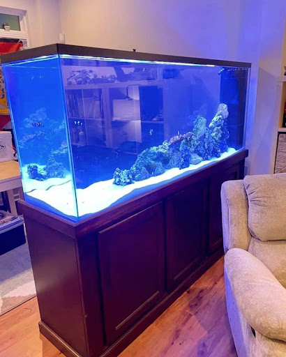 Tropical Fish Store «Glasscages.com LLC», reviews and photos, 1500 E Piney Rd, Dickson, TN 37055, USA