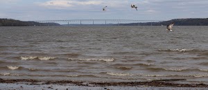 Kingston-Rhinecliff Bridge - photo 13