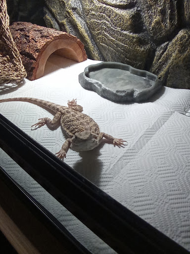 Pet Supply Store «Pet Expo Distributors», reviews and photos, 1800 Adams St, Mankato, MN 56001, USA