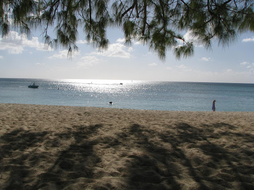 Travel Agency «Crystal Lake Travel Agency Inc», reviews and photos, 13 Crystal Lake Plaza #13, Crystal Lake, IL 60014, USA