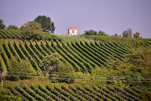 Mandelmeile und Weinlehrpfad image