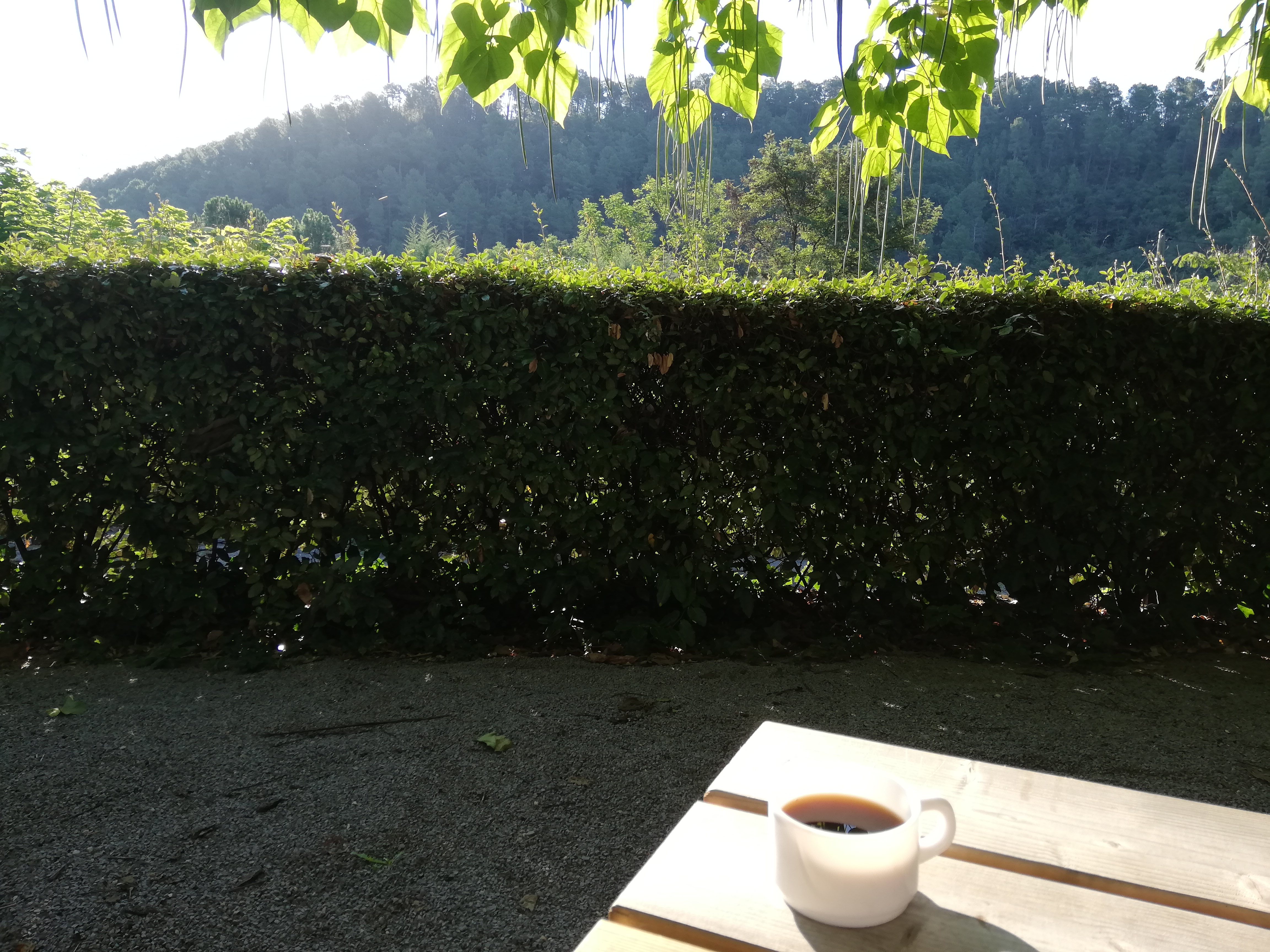 Photo n° 3 de l'avis de Cindy.t fait le 22/08/2018 à 10:54