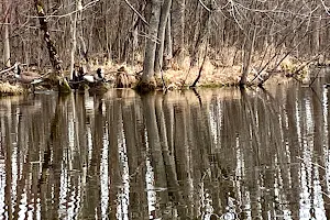 Menasha Conservancy Area image