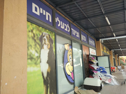 תמונה
