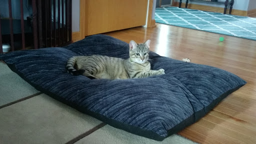 Pet Supply Store «PetSmart», reviews and photos, 9277 159th St, Orland Hills, IL 60487, USA