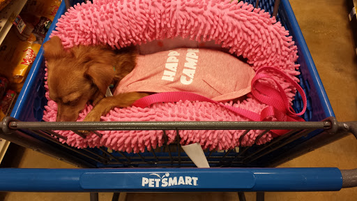 Pet Supply Store «PetSmart», reviews and photos, 211 W Alexander St A, Plant City, FL 33563, USA