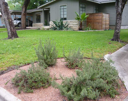 Austin Landscaping Pros - Design & Installation