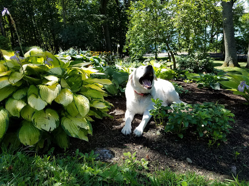 Tourist Attraction «Beckley Iron Furnace», reviews and photos, 140 Lower Rd, East Canaan, CT 06024, USA