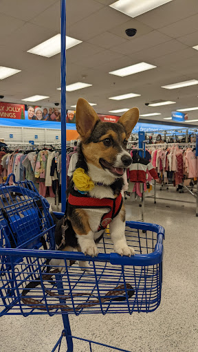 Clothing Store «Ross Dress for Less», reviews and photos, 201 University Oaks Blvd, Round Rock, TX 78664, USA