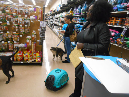 Pet Supply Store «Petco Animal Supplies», reviews and photos, 1065 Kennedy Rd, Windsor, CT 06095, USA