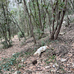 Photo n°40 de l'avis de chiara.r fait le 23/03/2023 à 00:06 sur le  Agriturismo la Montagnola à Torri in Sabina