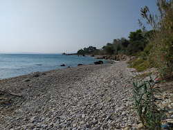 Vignola Beach'in fotoğrafı vahşi alan