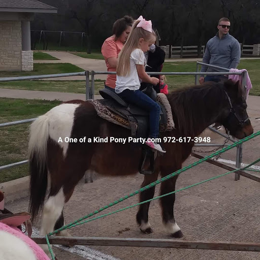 Zoo «A One of A Kind Pony Party», reviews and photos, 912 Bells Chapel Cir, Waxahachie, TX 75165, USA