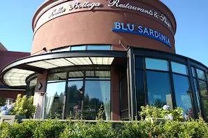 Blu Sardinia image