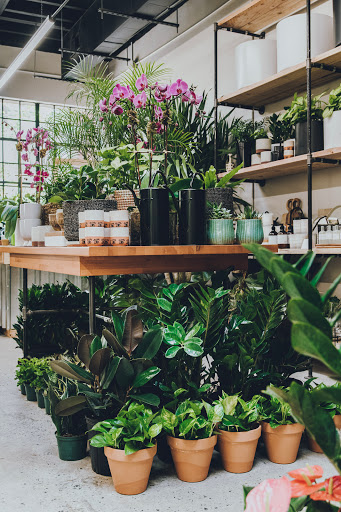 Florist «Englewood Florist, Inc.», reviews and photos, 47 E Palisade Ave, Englewood, NJ 07631, USA