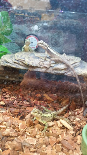 Pet Supply Store «Petco Animal Supplies», reviews and photos, 6805 Mills Civic Pkwy #140, West Des Moines, IA 50266, USA