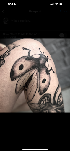 Explore belize tattoo ideas, creative tattoo ideas in Florence, available at Mosaic Tattoo Studio