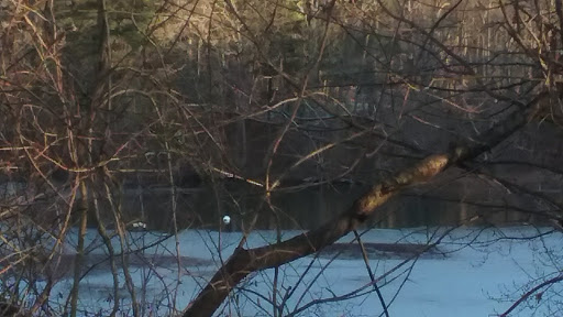 Museum «Eli Whitney Museum», reviews and photos, 915 Whitney Ave, Hamden, CT 06517, USA