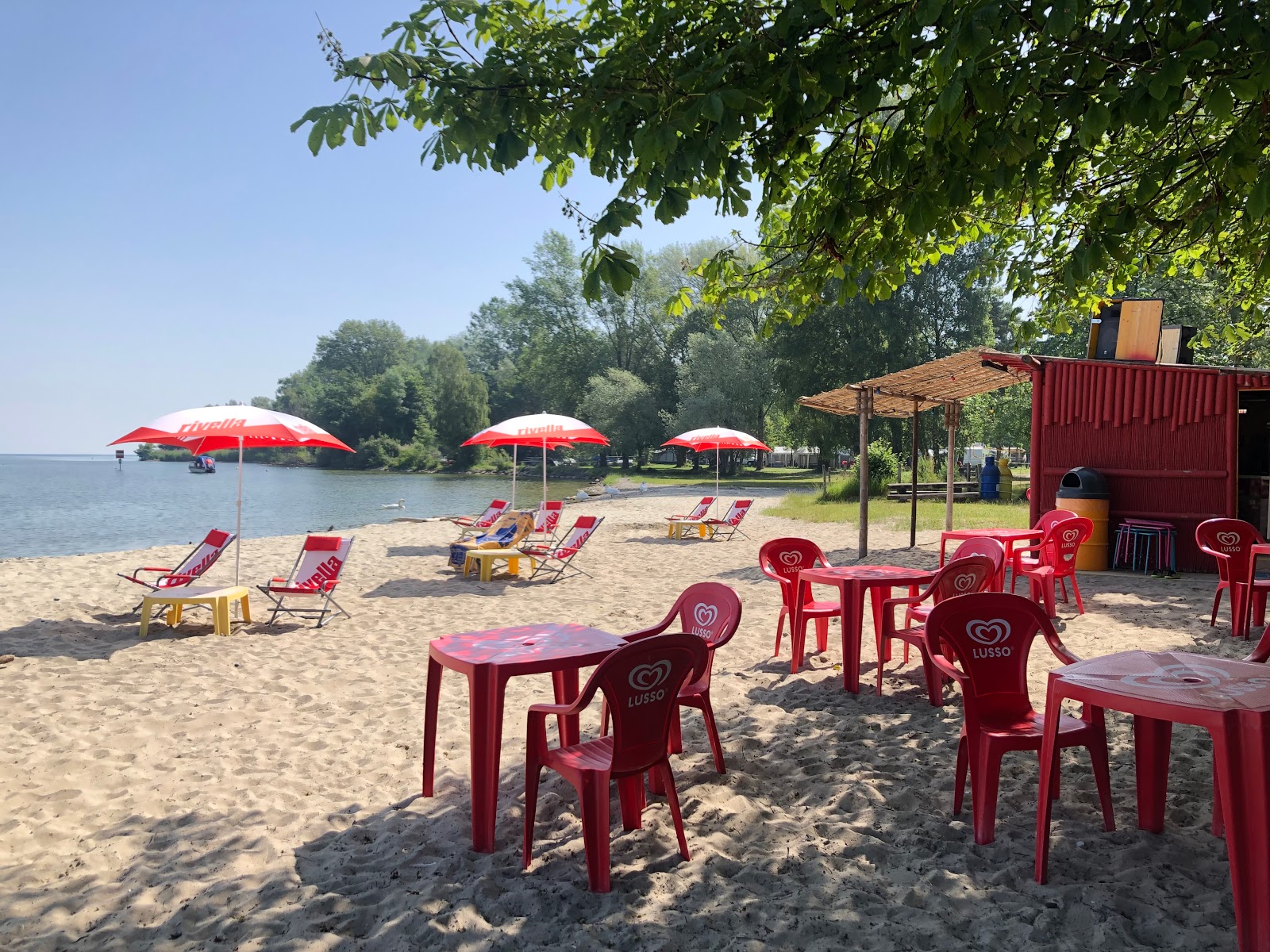Plage des Pins d'Yvonand photo #9