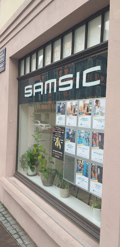 Agence d'intérim Samsic Emploi Molsheim Molsheim
