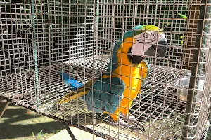 The Aviary image