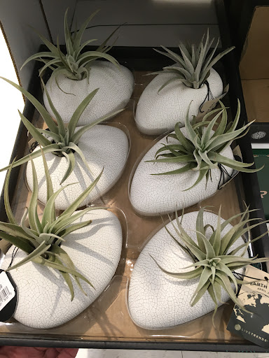 Department Store «Target», reviews and photos, 200 Vintage Way, Novato, CA 94945, USA