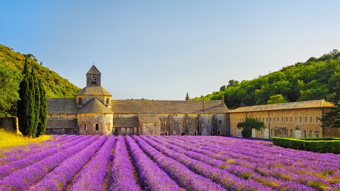 John Taylor Luberon & Alpilles : Agence Immobilière de Luxe à Lourmarin (Vaucluse 84)