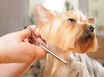 Wags & Whiskers Pet Salon