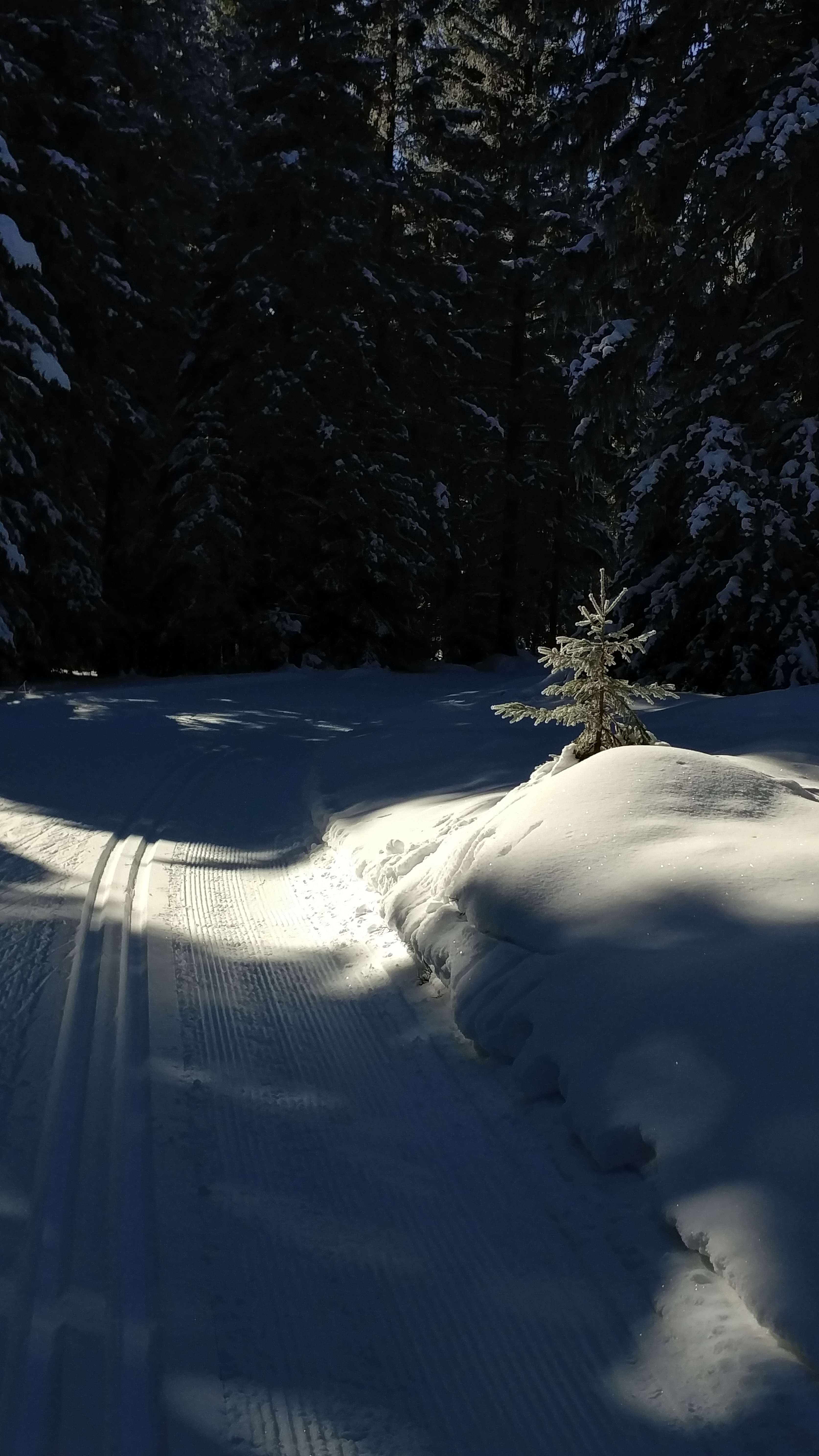Photo n° 6 de l'avis de Kirill.a fait le 29/01/2023 à 17:28