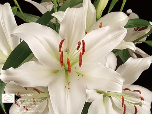 Florist «Flower Allie», reviews and photos, 2491 E Chapman Ave, Fullerton, CA 92831, USA