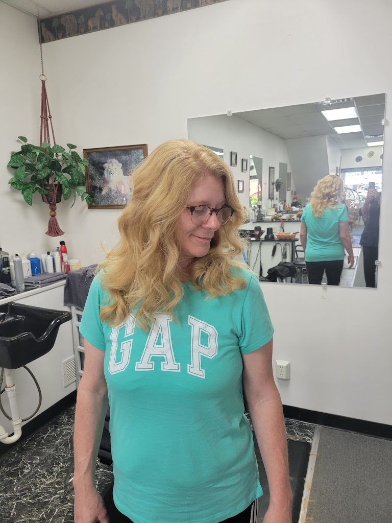 All About Hair 16441