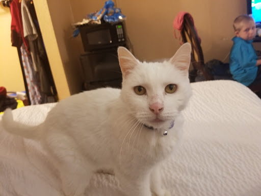 Pet Supply Store «Pet Supermarket», reviews and photos, 2924 13th St, St Cloud, FL 34769, USA