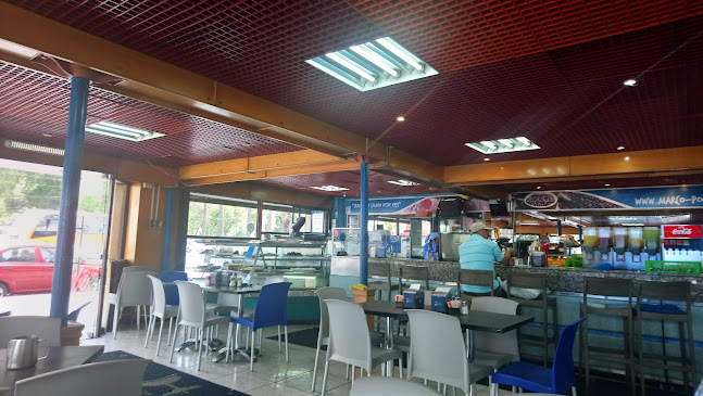 http://www.marcopolovalpo.cl/