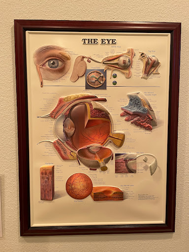 Eye Care Center «Vision Health Center, P.C. - Dr. Steven Sloan, Dr. Martha Smith, & Dr. Stephanie Sloan», reviews and photos, 505 Cedar Cross Rd, Dubuque, IA 52003, USA