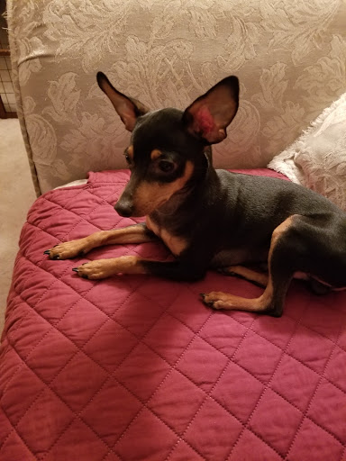 Pet Store «Next to Nature», reviews and photos, 1624 Tacoma Ave S, Tacoma, WA 98402, USA