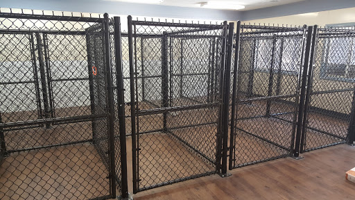 Pet Groomer «U Dirty Dog», reviews and photos, 232 Stevens Entry, Peachtree City, GA 30269, USA