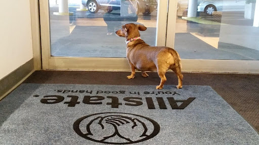 Insurance Agency «Allstate Insurance Agent: Tedd Schodzinski», reviews and photos