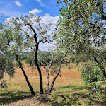 Photo n°3 de l'avis de Hellsy. fait le 11/06/2023 à 15:58 sur le  Casale Alessandri - Cooking Classes with Medieval Accommodation à Massa Martana