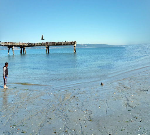 State Park «Dash Point State Park», reviews and photos, 5700 SW Dash Point Rd, Federal Way, WA 98023, USA