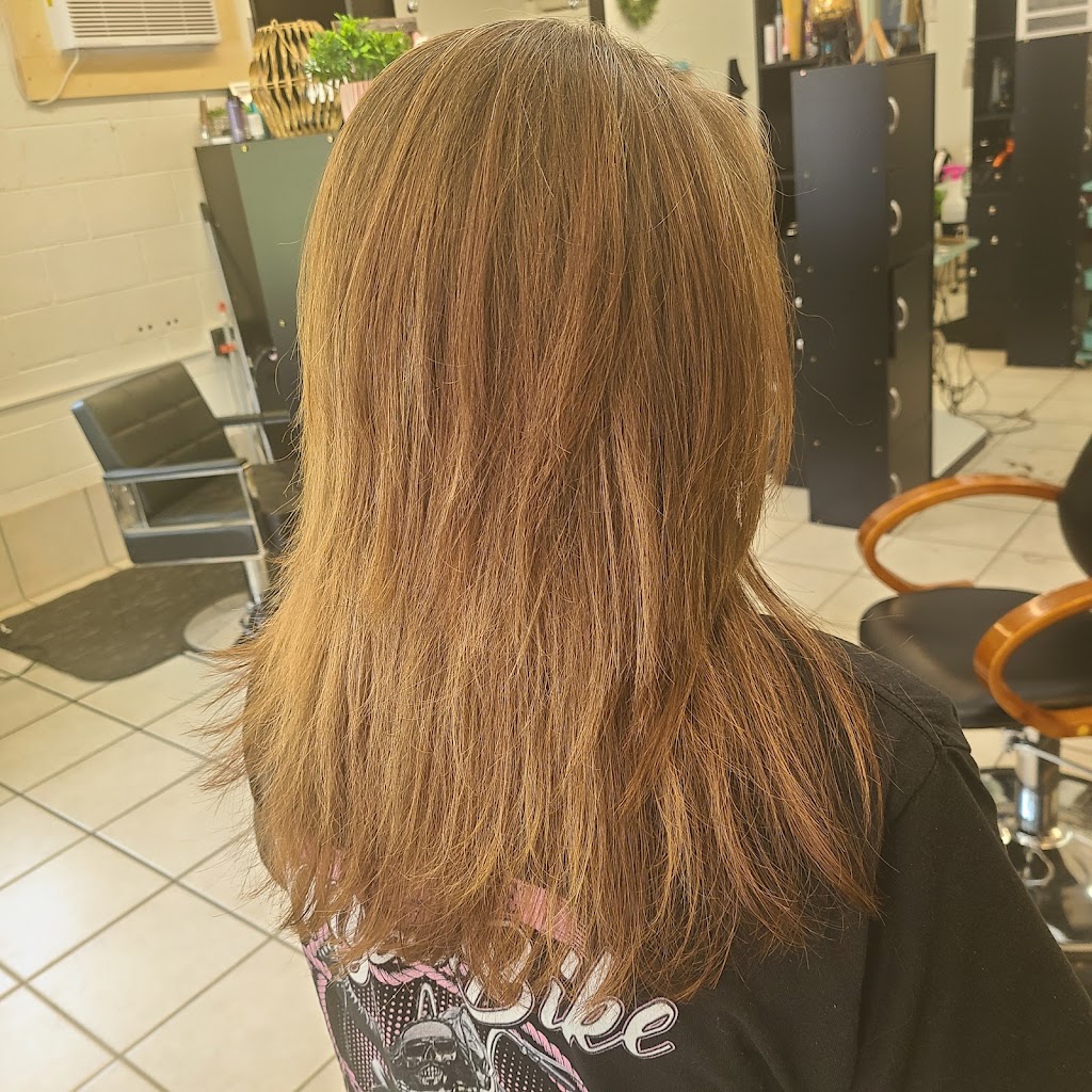 New Cuts By Teresa 30533