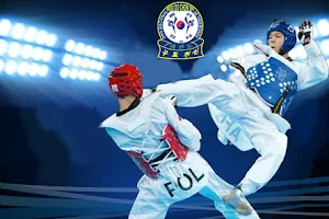 taekwondo tapachula image