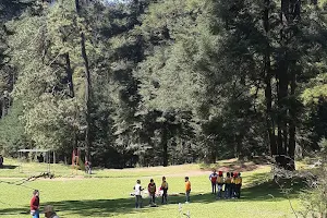 Zona de campismo "Parque Ejidal San Nicolás Totolapan". image