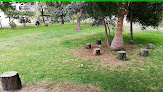 Parques hacer picnic Piura