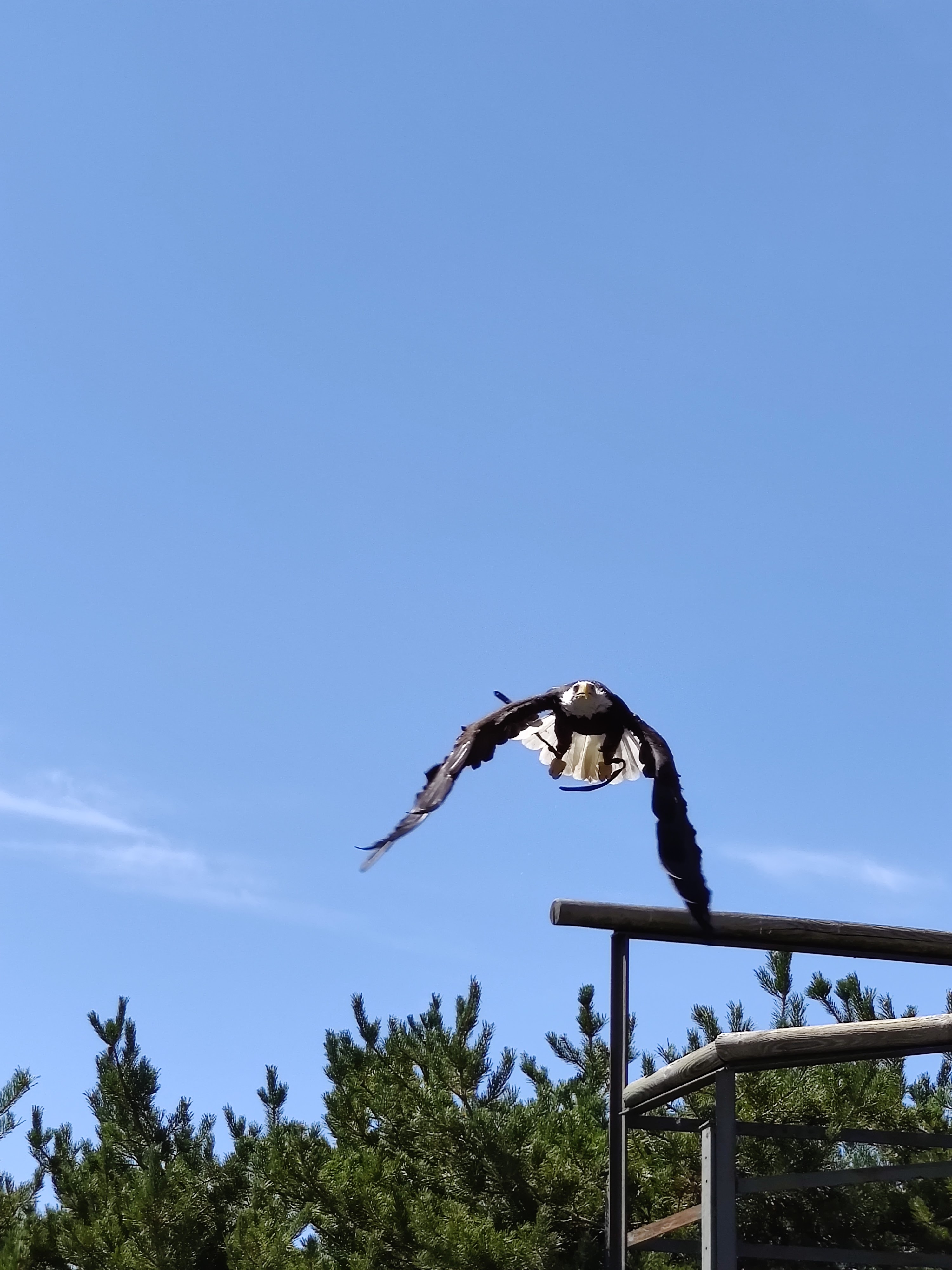 Photo n° 4 de l'avis de Julien.o fait le 14/08/2020 à 12:49