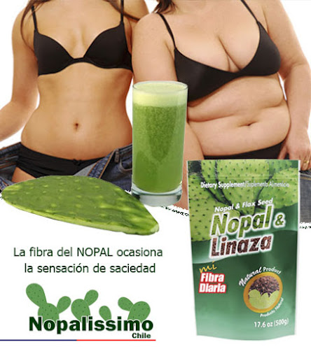 NopalissimoChile