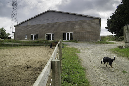 ECURIES DE LA VILLE MORIN à Plerguer