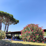 Photo n°5 de l'avis de Emanuele.a fait le 01/07/2023 à 21:39 sur le  Garden Toscana Resort à San Vincenzo